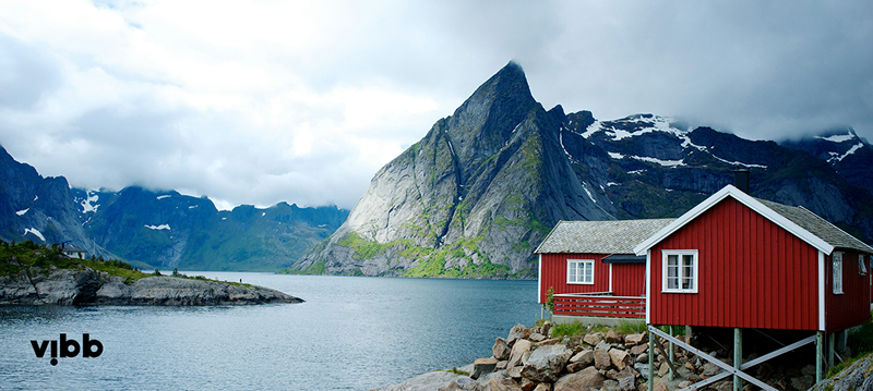 Idura kundecase: Vibb